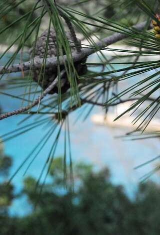 Отель Hotel Art Media Херцег-Нови Люкс с 1 спальней, террасой и видом на море-8