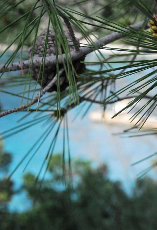 Отель Hotel Art Media Херцег-Нови-29